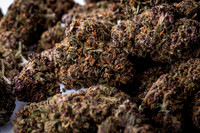 Buds_Macro-03