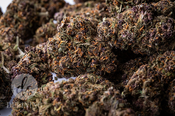 Buds_Macro-03