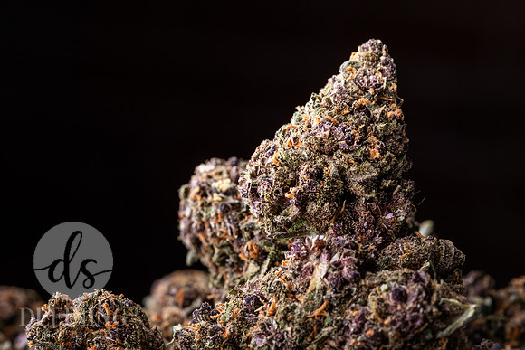 Buds_Macro-04