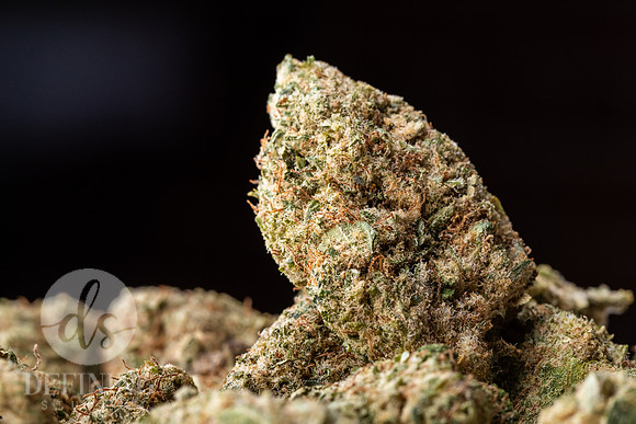 Buds_Macro-07