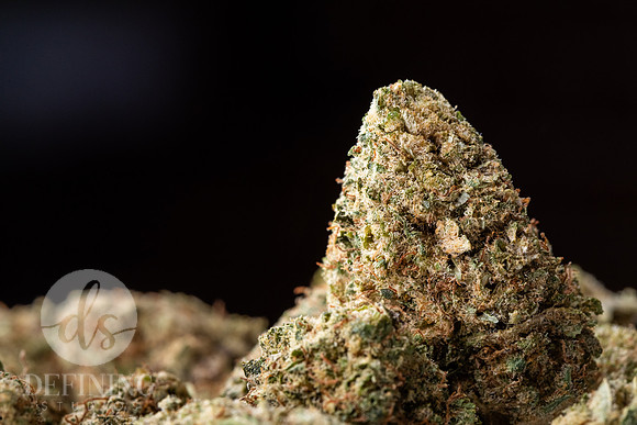 Buds_Macro-08