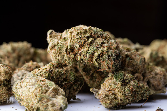 Buds_Macro-10