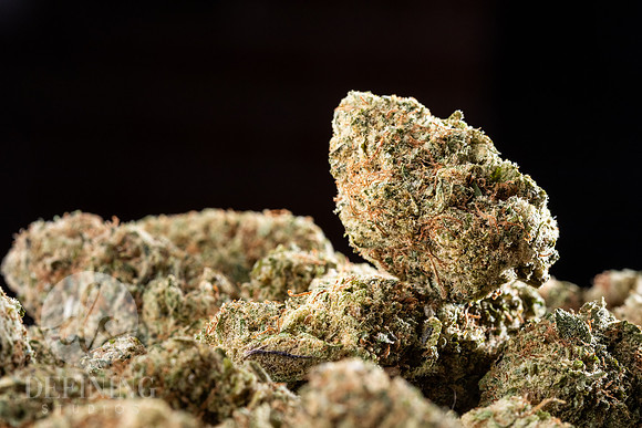 Buds_Macro-12