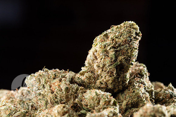 Buds_Macro-13