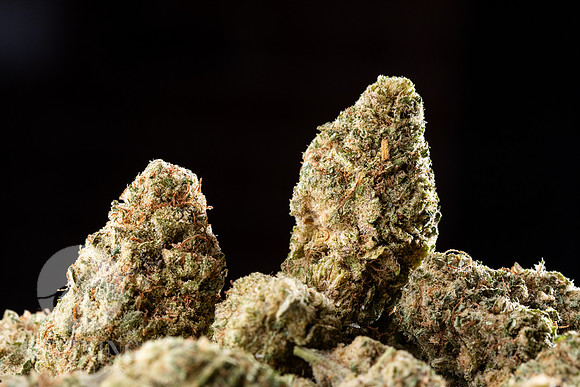 Buds_Macro-14
