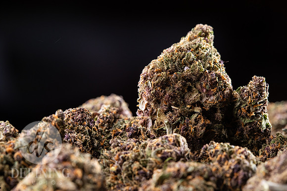 Buds_Macro-17