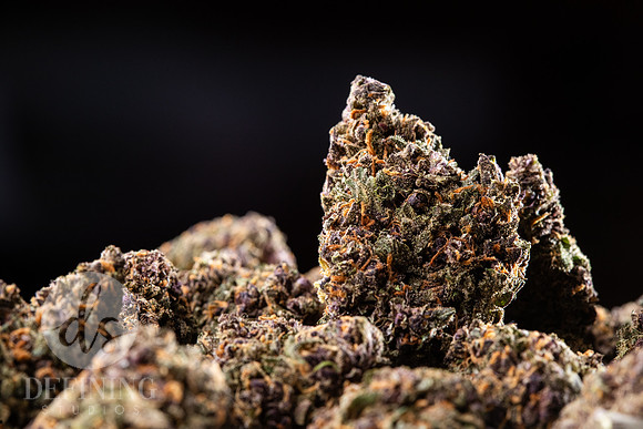 Buds_Macro-19