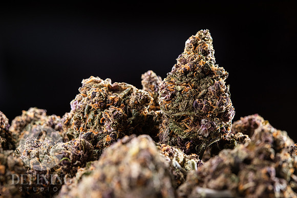 Buds_Macro-20