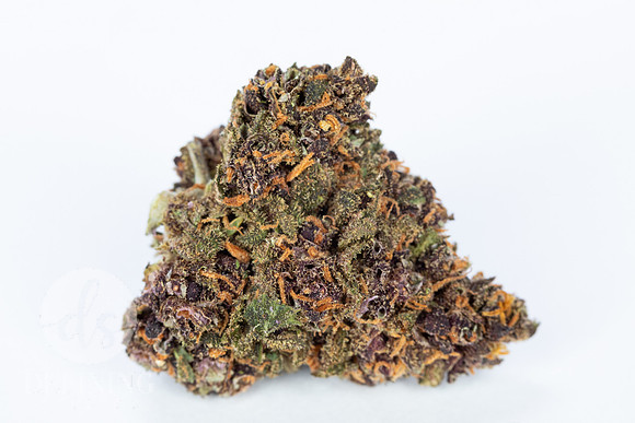 Buds_Macro-21