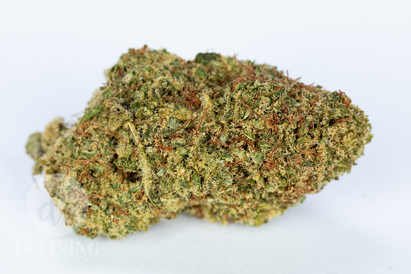 Buds_Macro-22