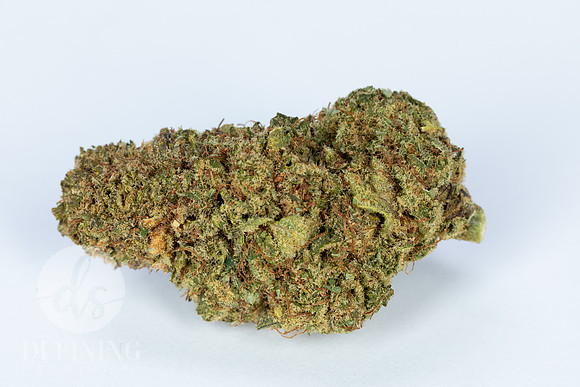 Buds_Macro-23