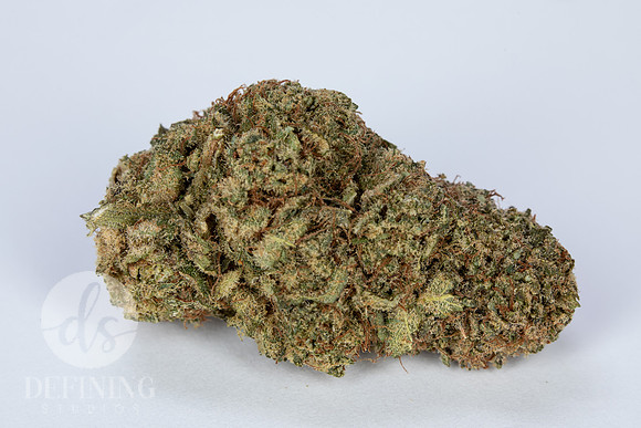 Buds_Macro-24