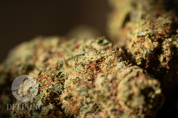 Buds_Macro-25
