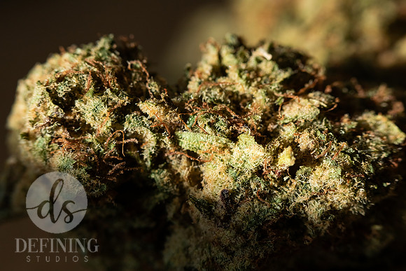 Buds_Macro-27