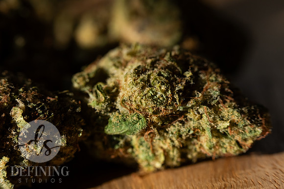 Buds_Macro-29