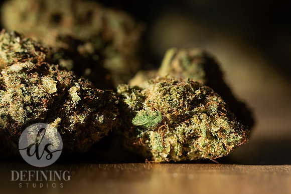 Buds_Macro-30
