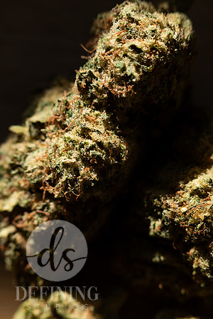 Buds_Macro-31