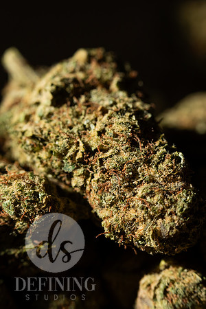 Buds_Macro-33