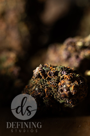 Buds_Macro-35