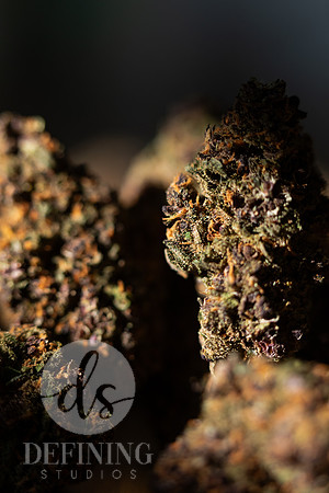 Buds_Macro-36