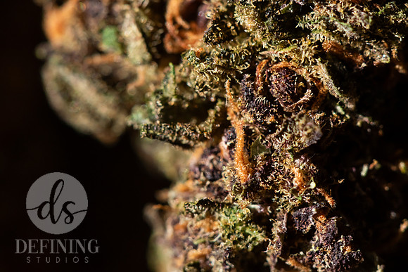 Buds_Macro-40