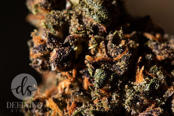 Buds_Macro-42