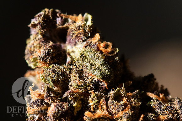 Buds_Macro-43