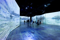 Beyond_Monet-VanGogh-PROOFS-017