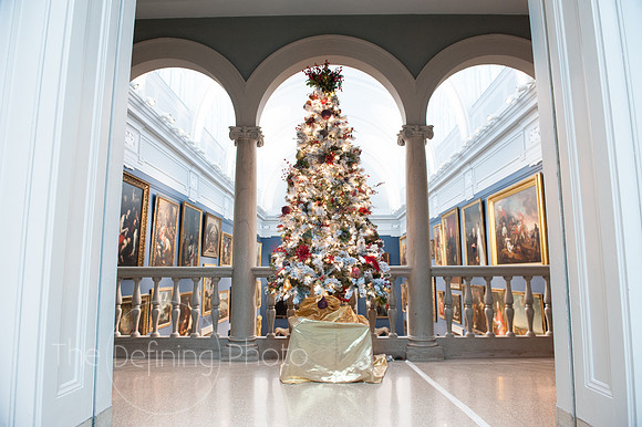 Festival_Of_Trees_074