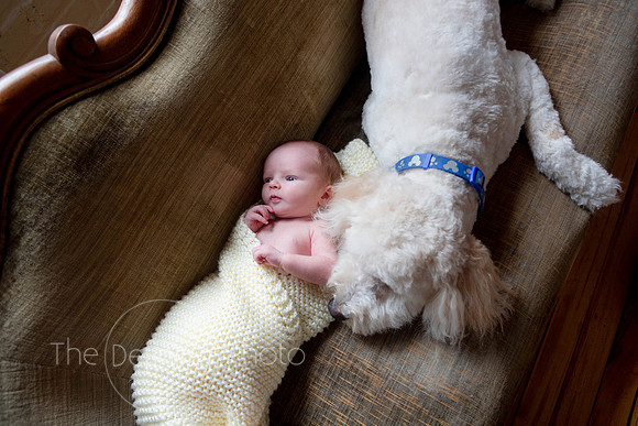 babies_29