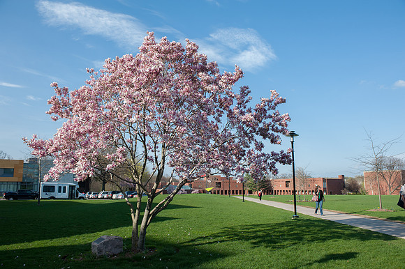 college2018_113