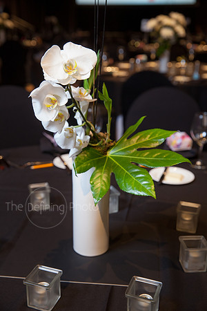 Splendor_Gala_012