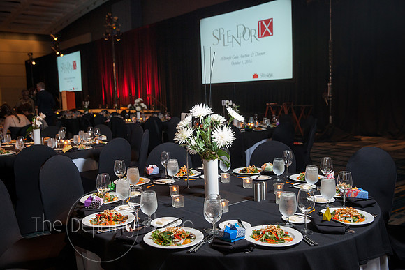 Splendor_Gala_016