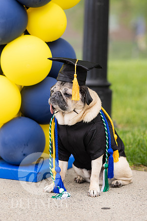 UNH-Commencement_Day 2-07