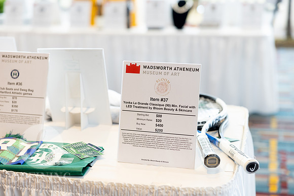 Wadsworth_Spring_Gala_002