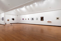 Goldfarb_Installation-12