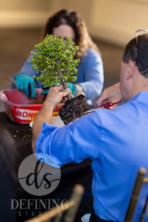 Bonsai_and_Brew_071