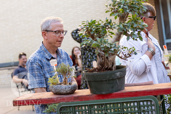 Bonsai_and_Brew_079