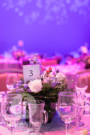 Celebration_of_Giving_004