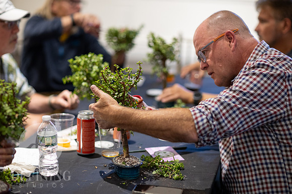 Bonsai_and_Brew_144