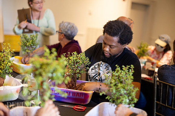 Bonsai_and_Brew_101