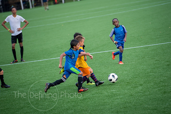 Dillion_Stadium_Reception_079