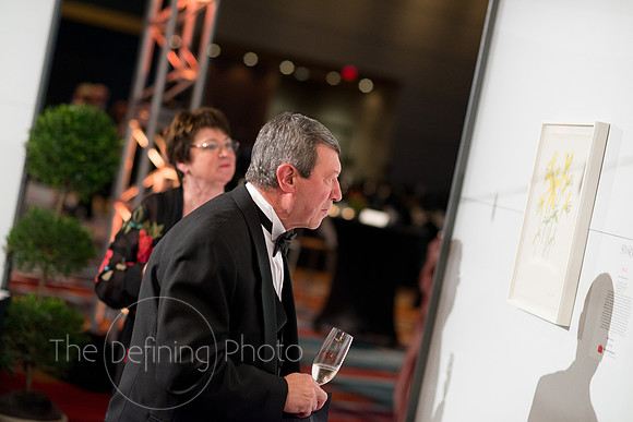 Splendor_2013_070