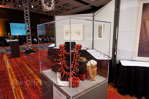 Splendor_2013_013