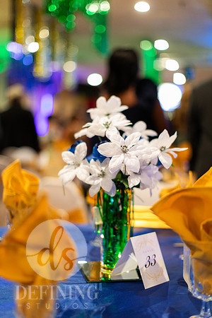 West_Indian_Gala_2024-071