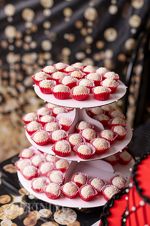 Victoria_Quinceanera_016