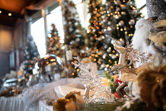 Pond_House_Wedding_Fair-12