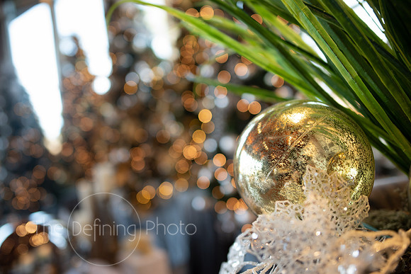 Pond_House_Wedding_Fair-13