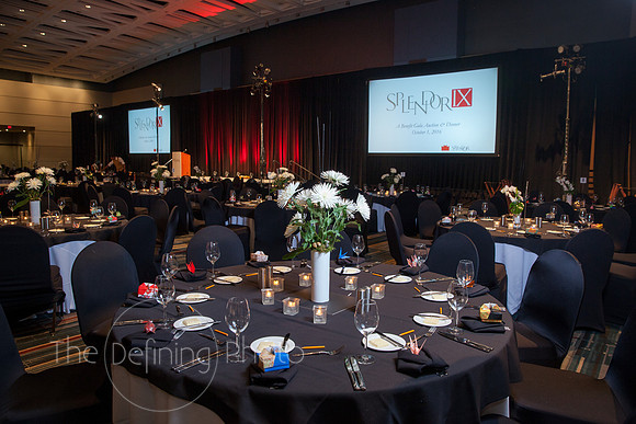 Splendor_Gala_010