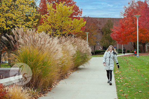 UNH_Promo_03